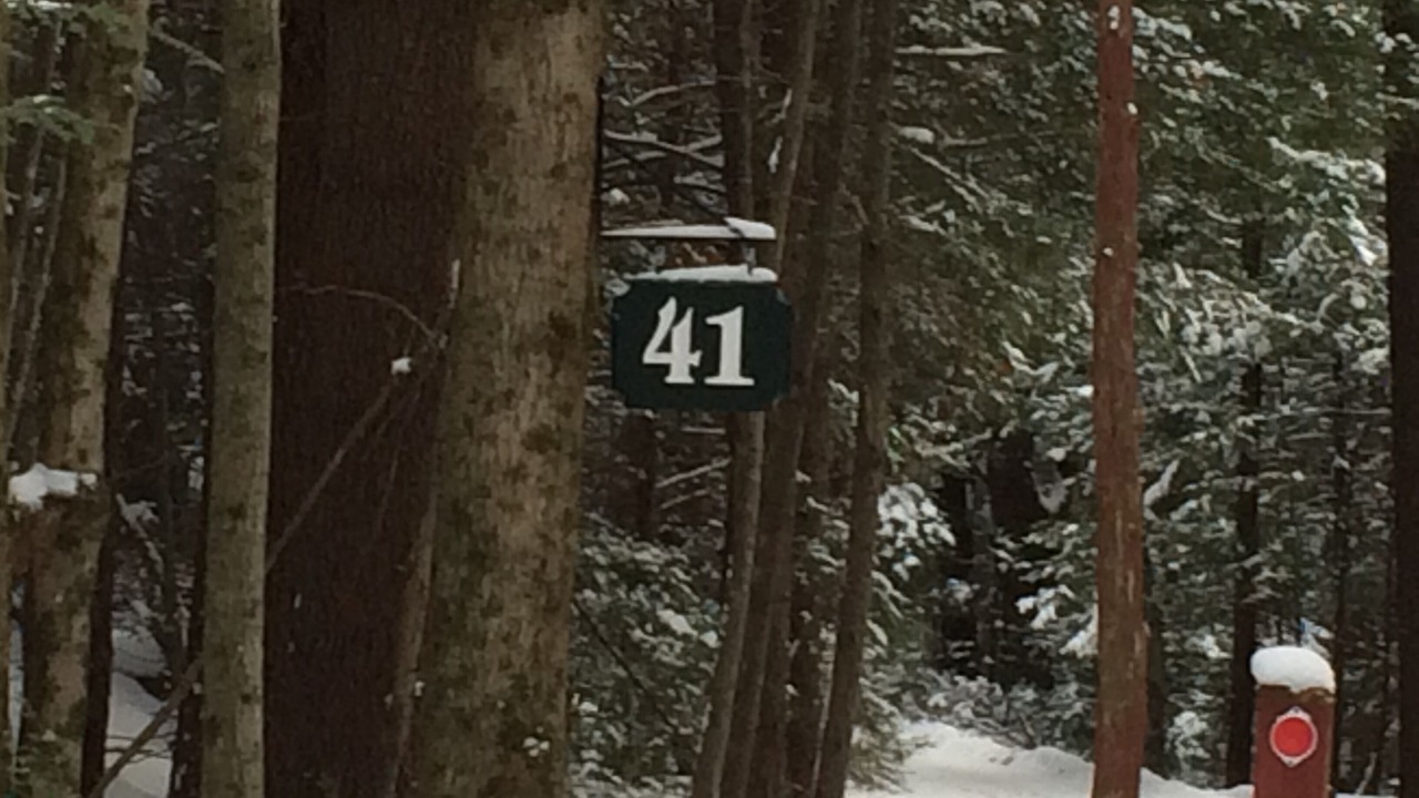 Photo of Outdoor in Cummington