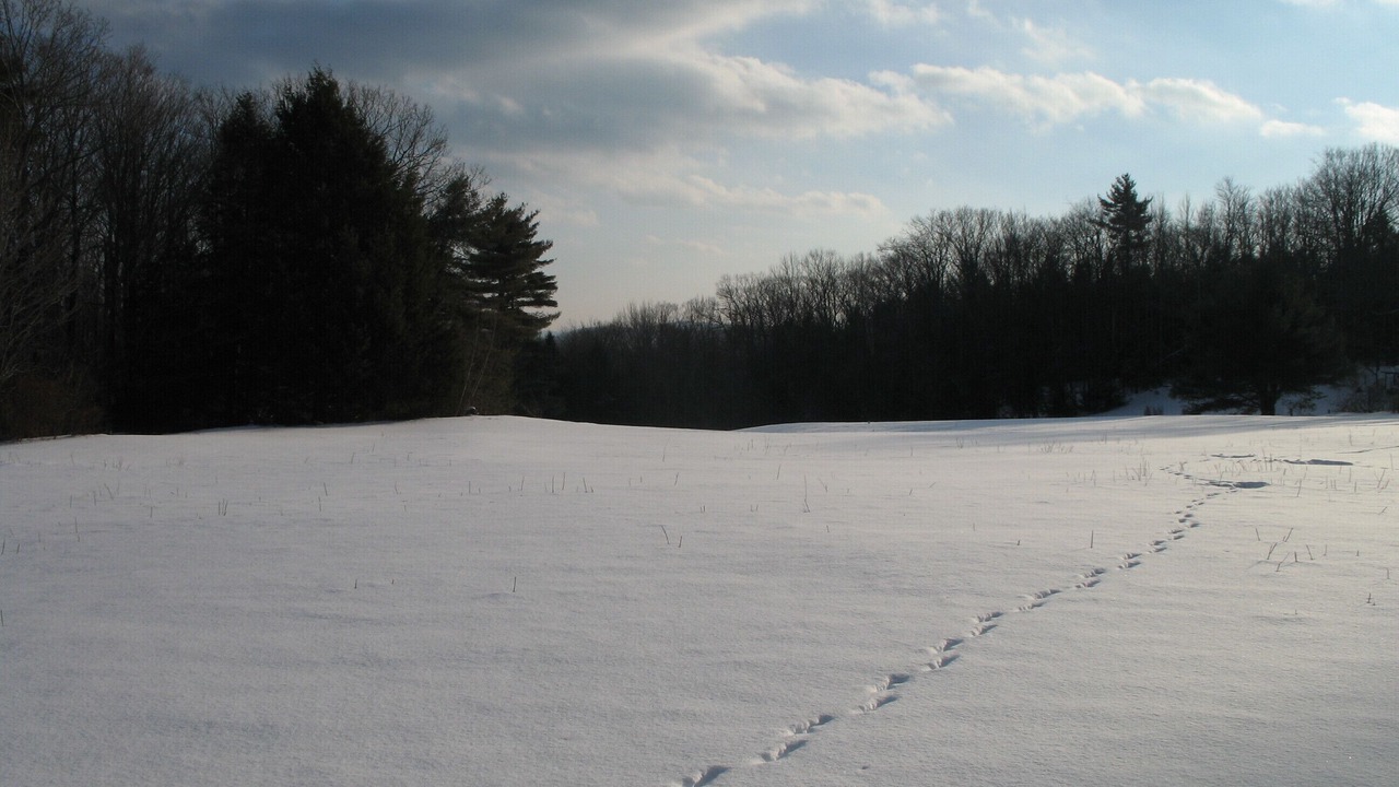 Photo of Others in Cummington
