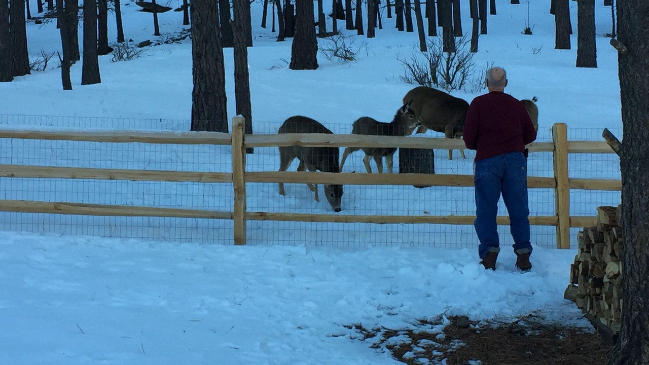 Photo of Others in Angel Fire