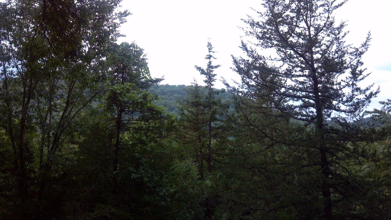 Photo of Outdoor in Lanesboro