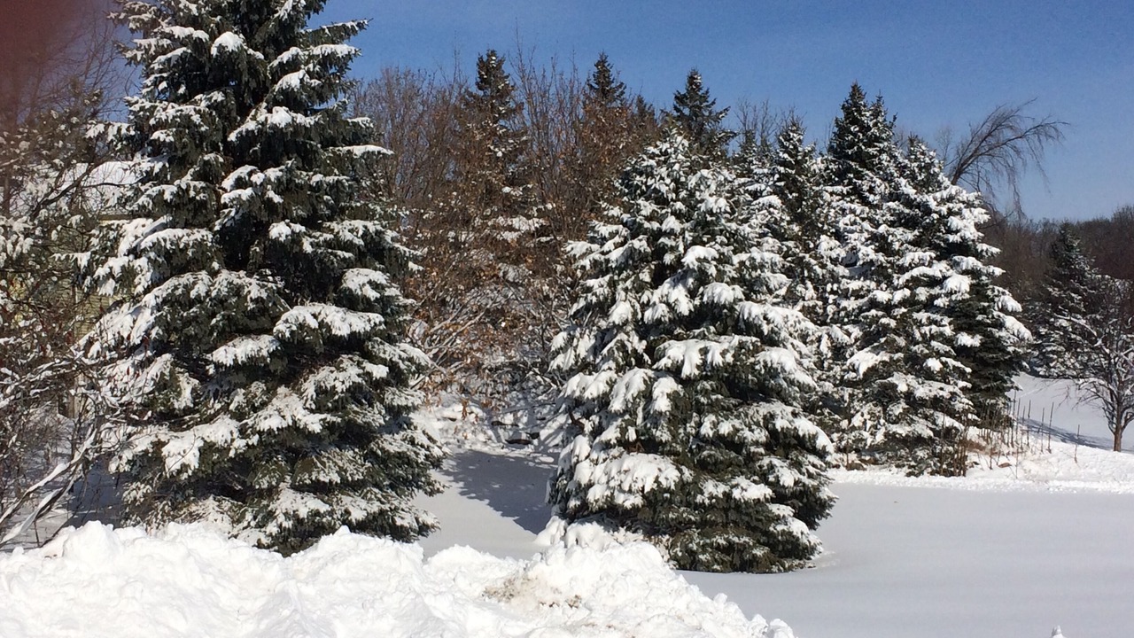 Photo of Others in Chanhassen