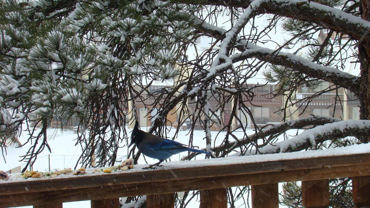 Photo of Outdoor in Red River