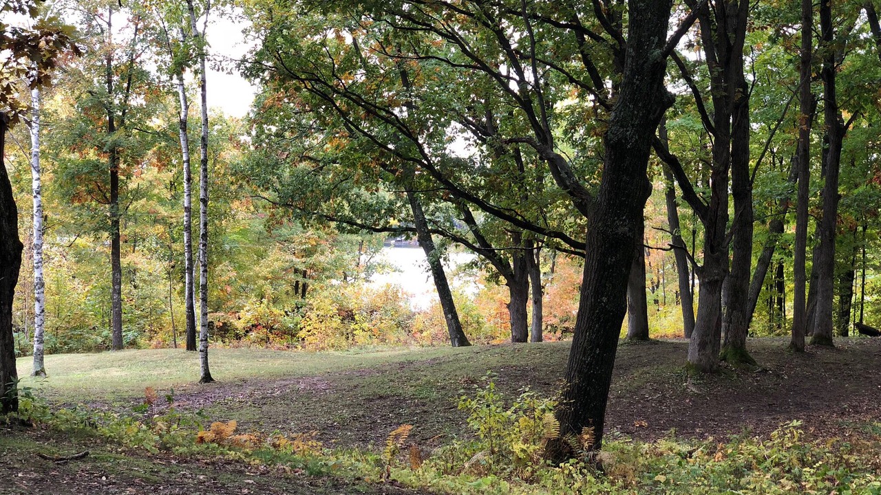 Photo of Outdoor in Trego