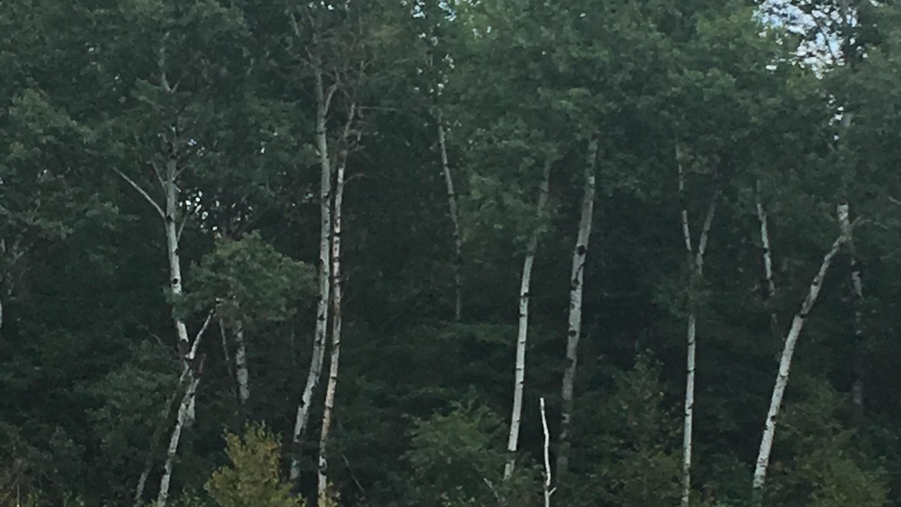 Photo of Outdoor in Trego