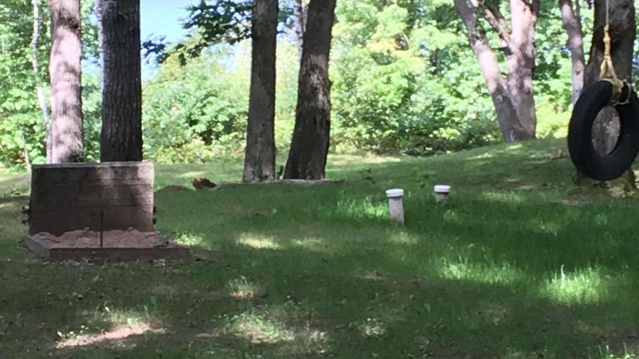 Photo of Outdoor in Trego