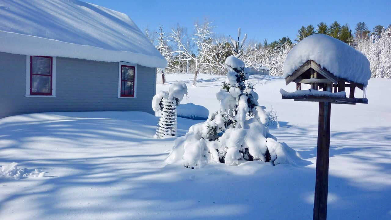 Photo of Outdoor in Maple