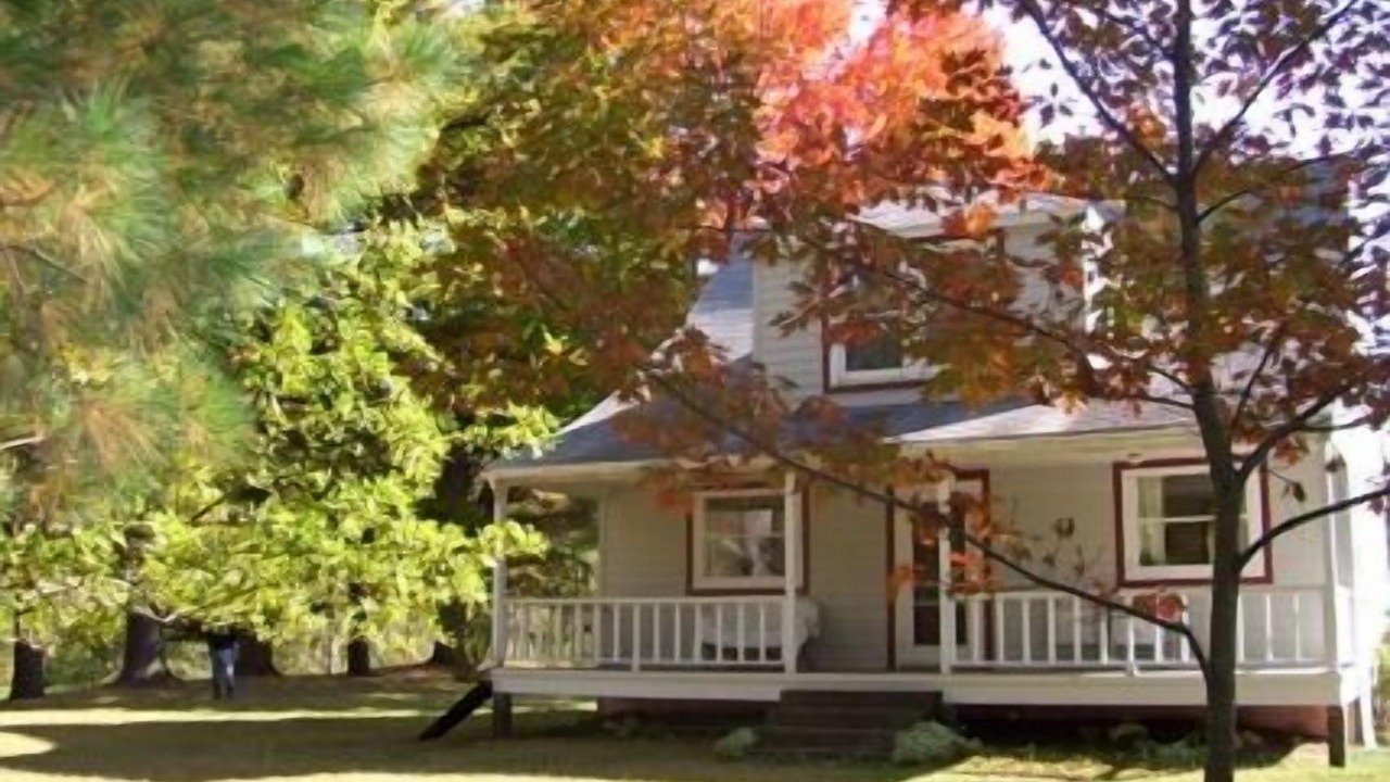 Photo of Outdoor in Maple