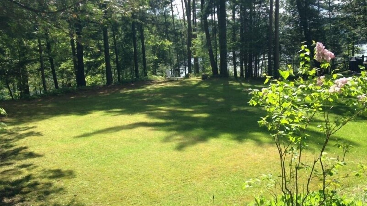 Photo of Others in North Lake George