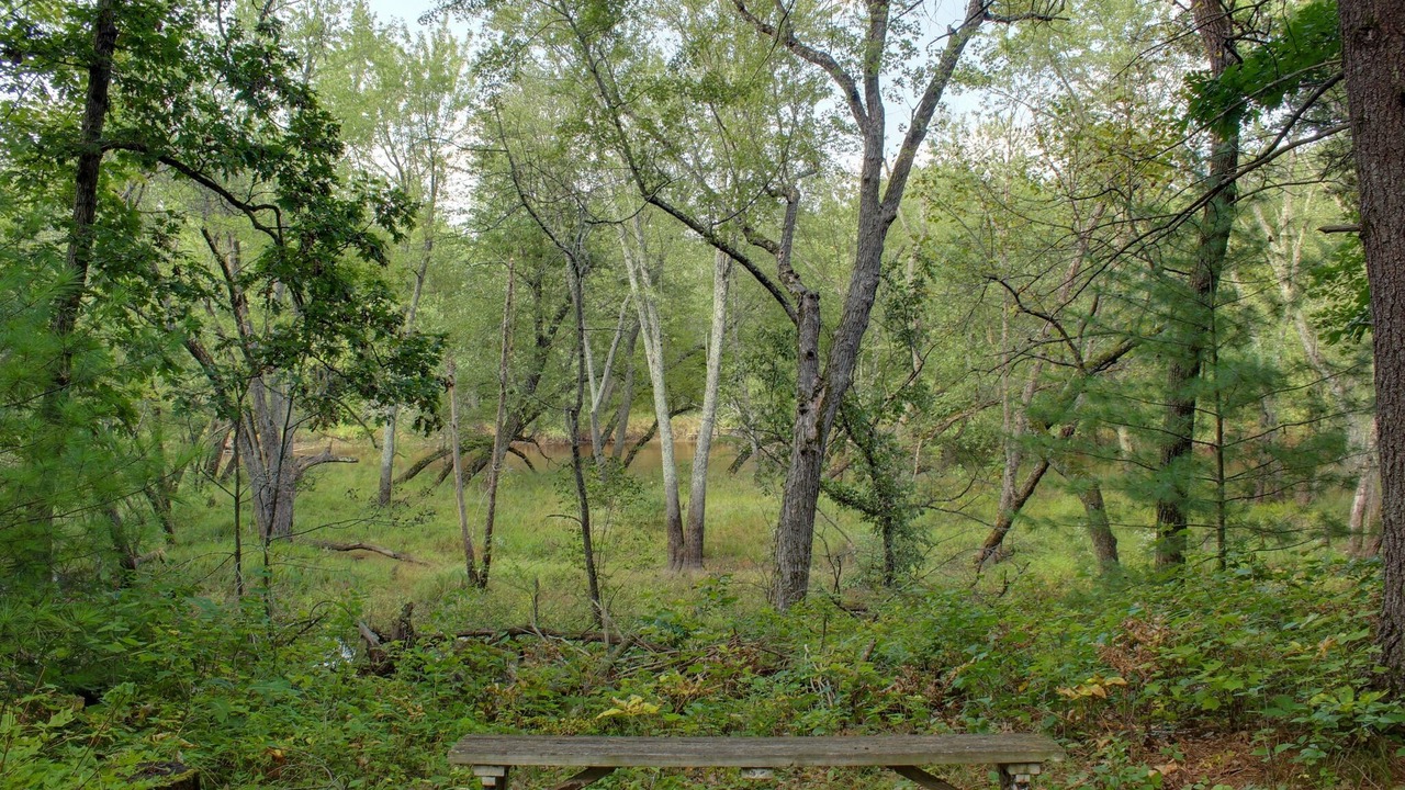 Photo of Others in Mauston