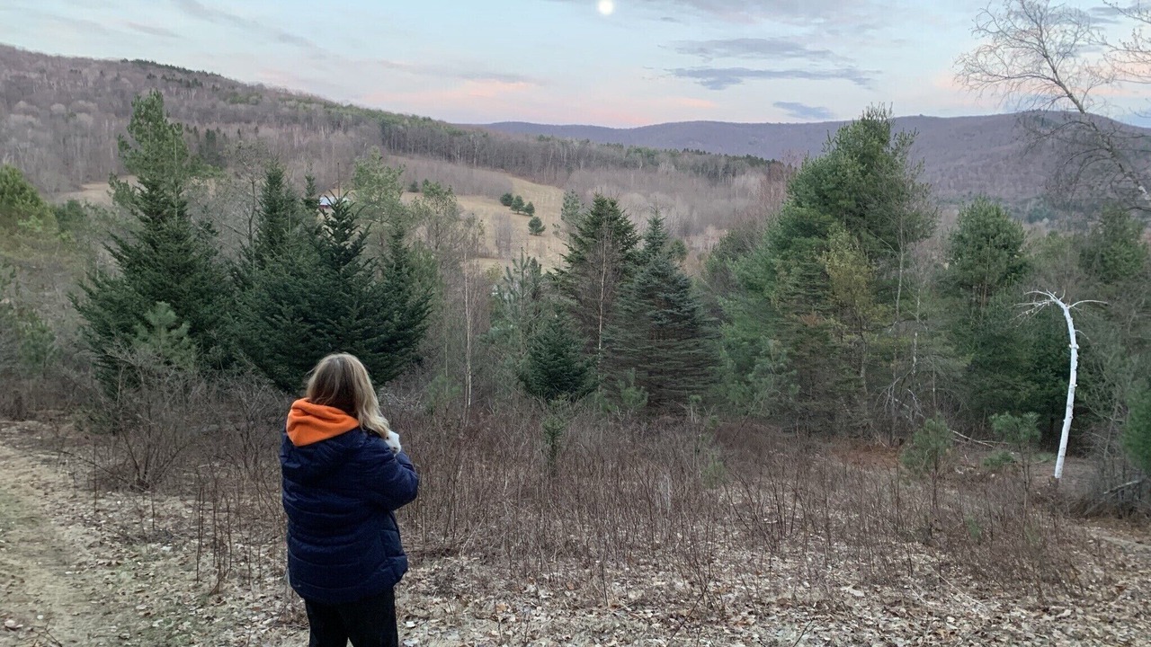 Photo of Others in North Bennington