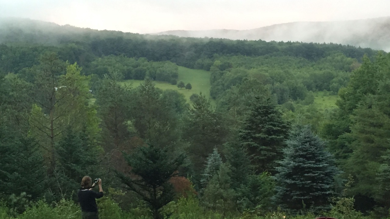 Photo of Others in North Bennington