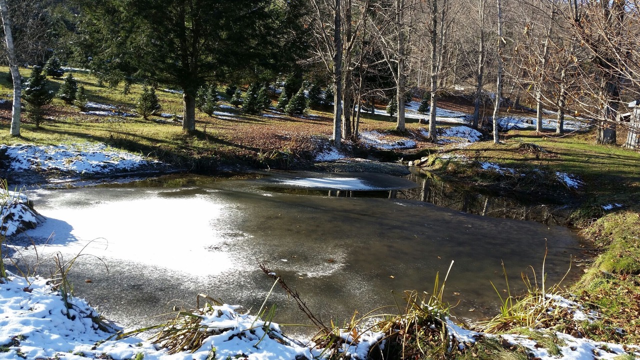 Photo of Outdoor in North Bennington