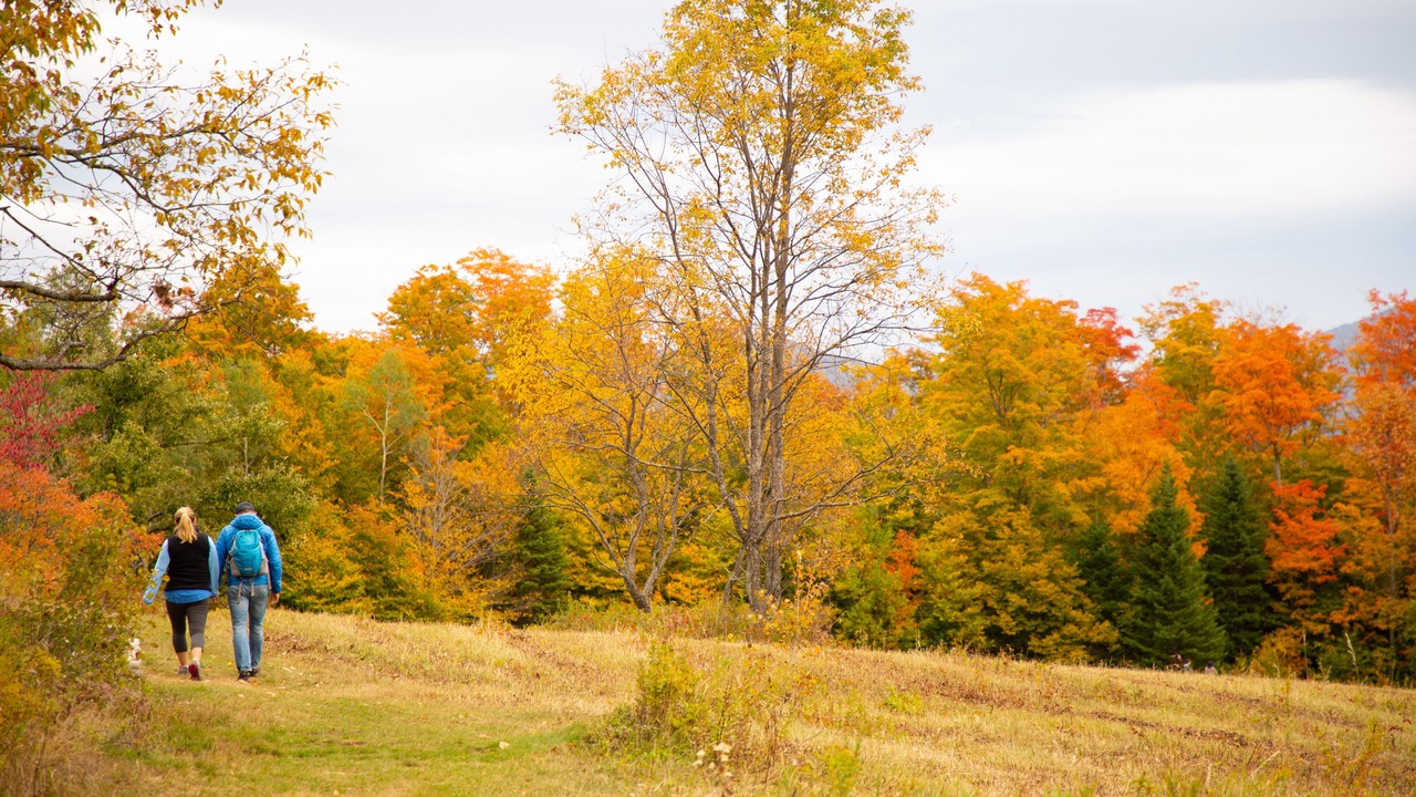 Photo of Outdoor in Lake Placid