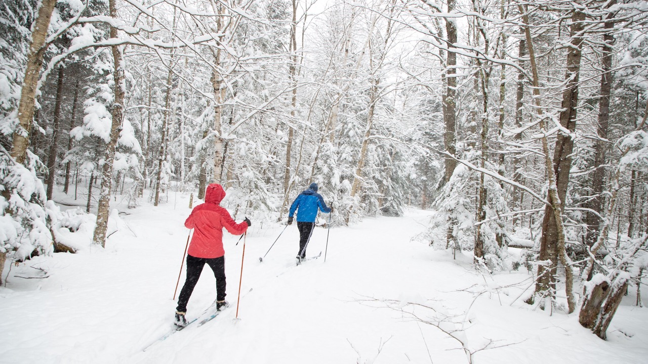 Photo of Others in Lake Placid