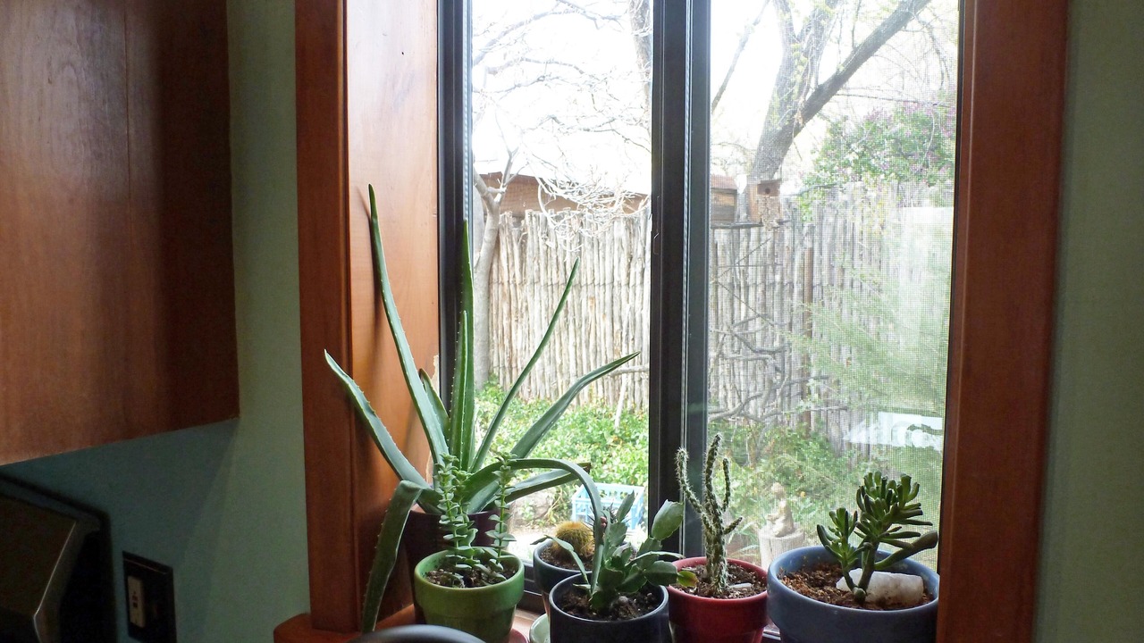 Photo of Outdoor in Santa Fe