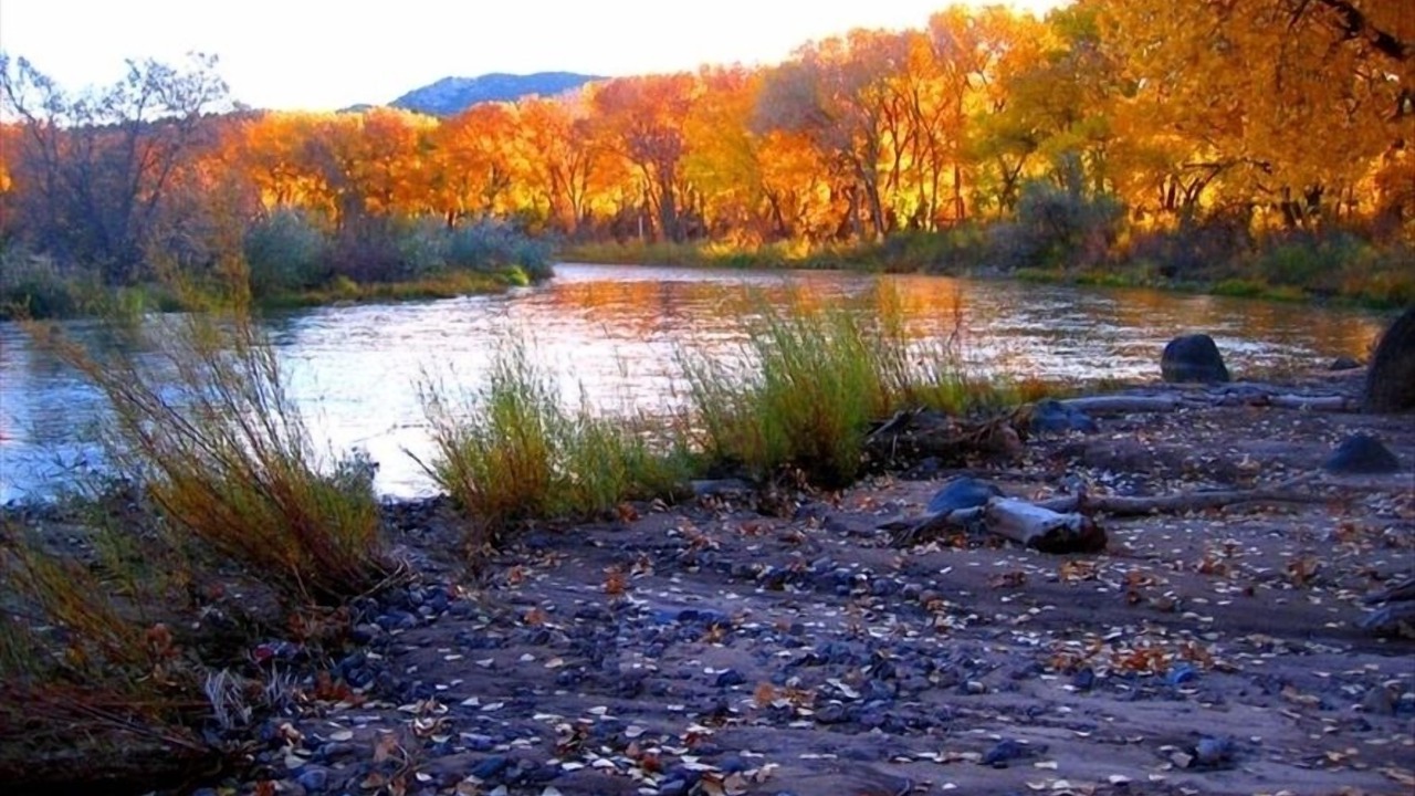 Photo of Others in Ranchos De Taos