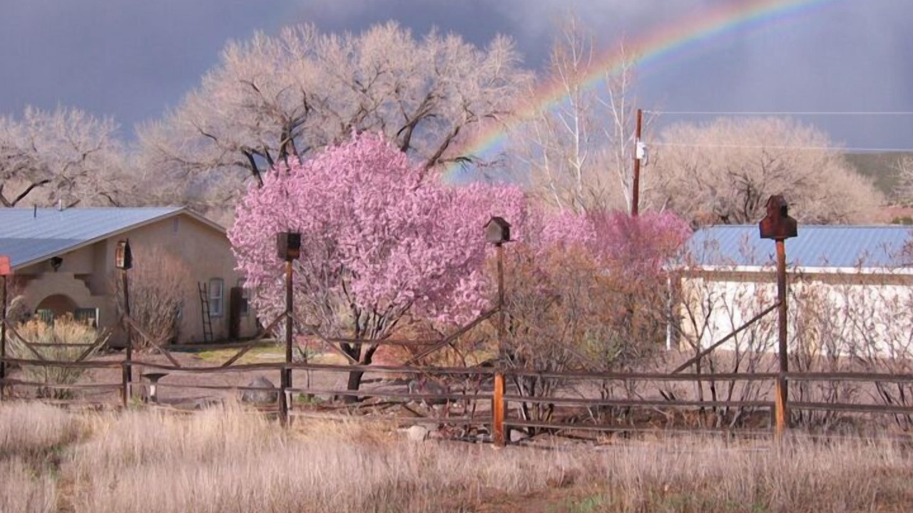 Photo of Outdoor in Ranchos De Taos