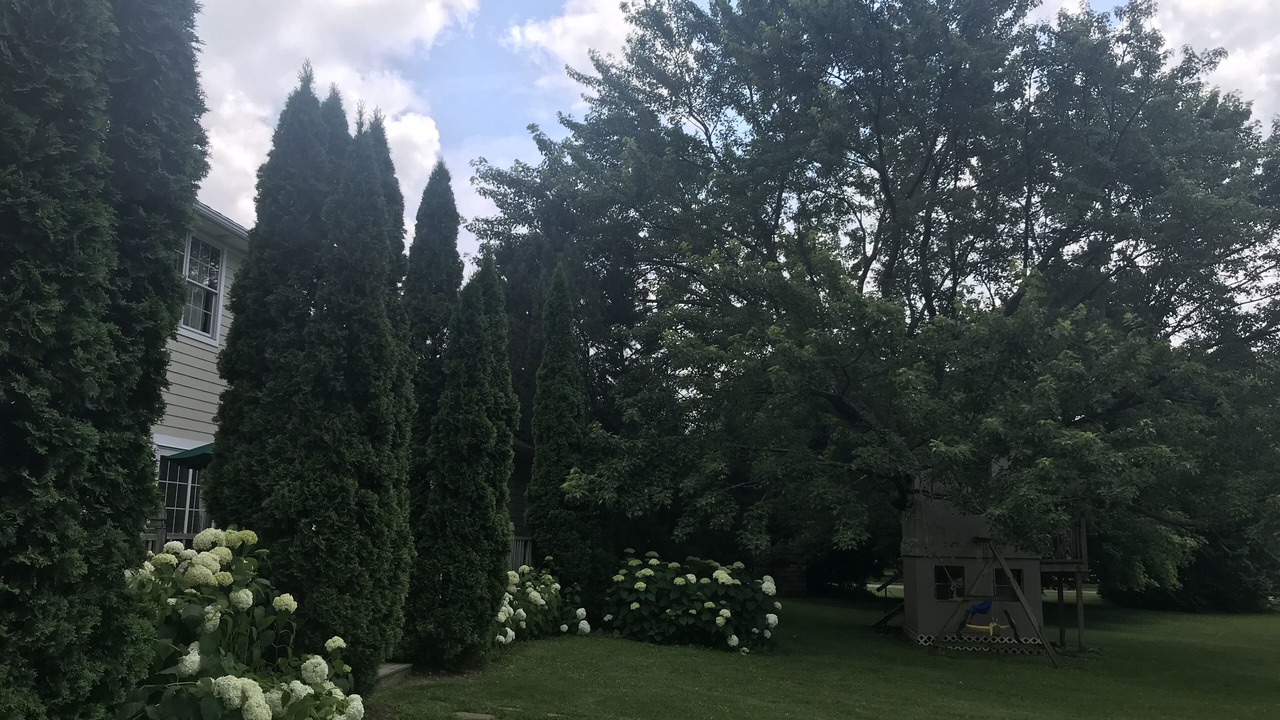 Photo of Outdoor in Zenda