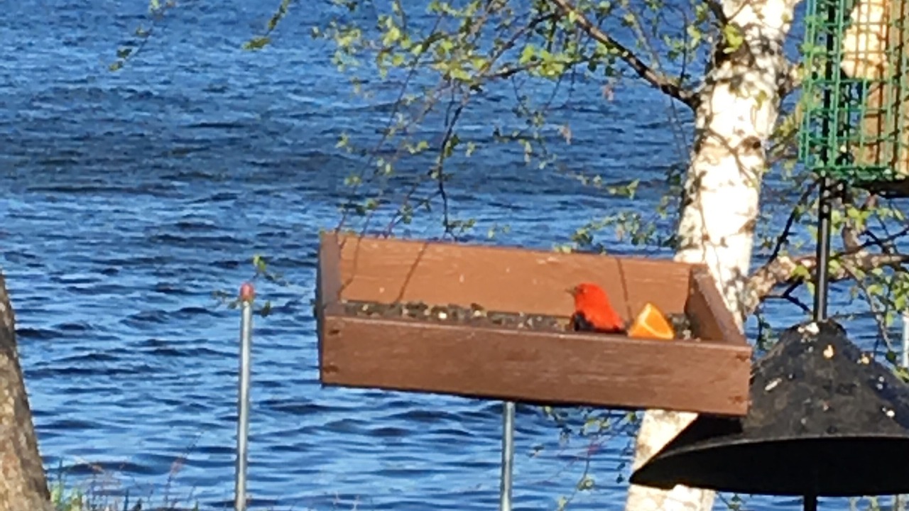 Photo of Others in Laconia
