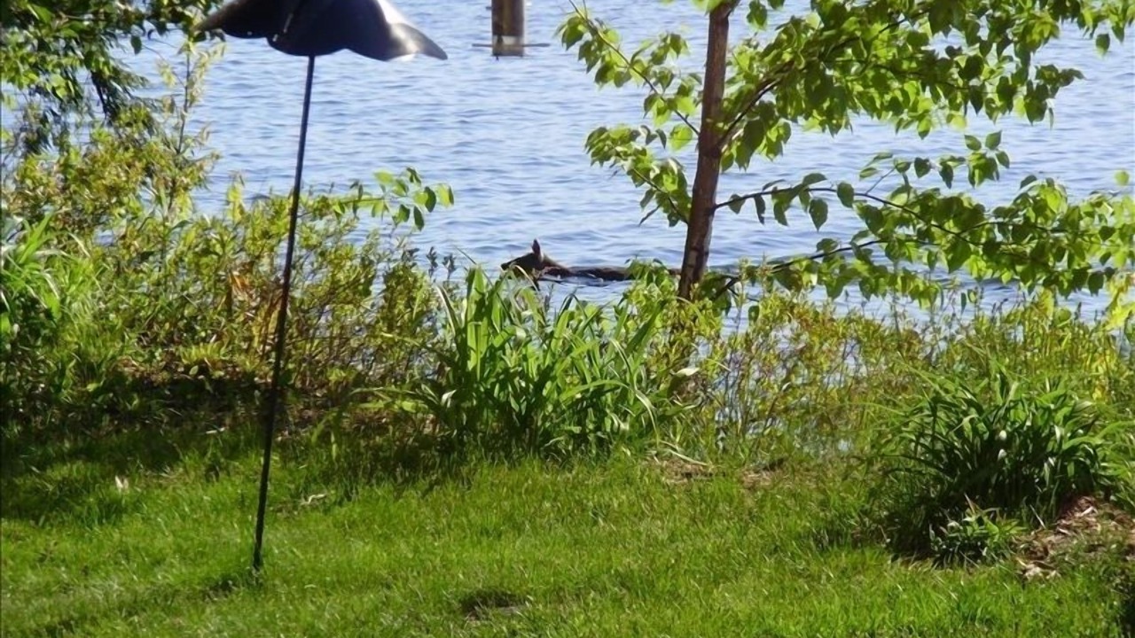 Photo of Others in Laconia