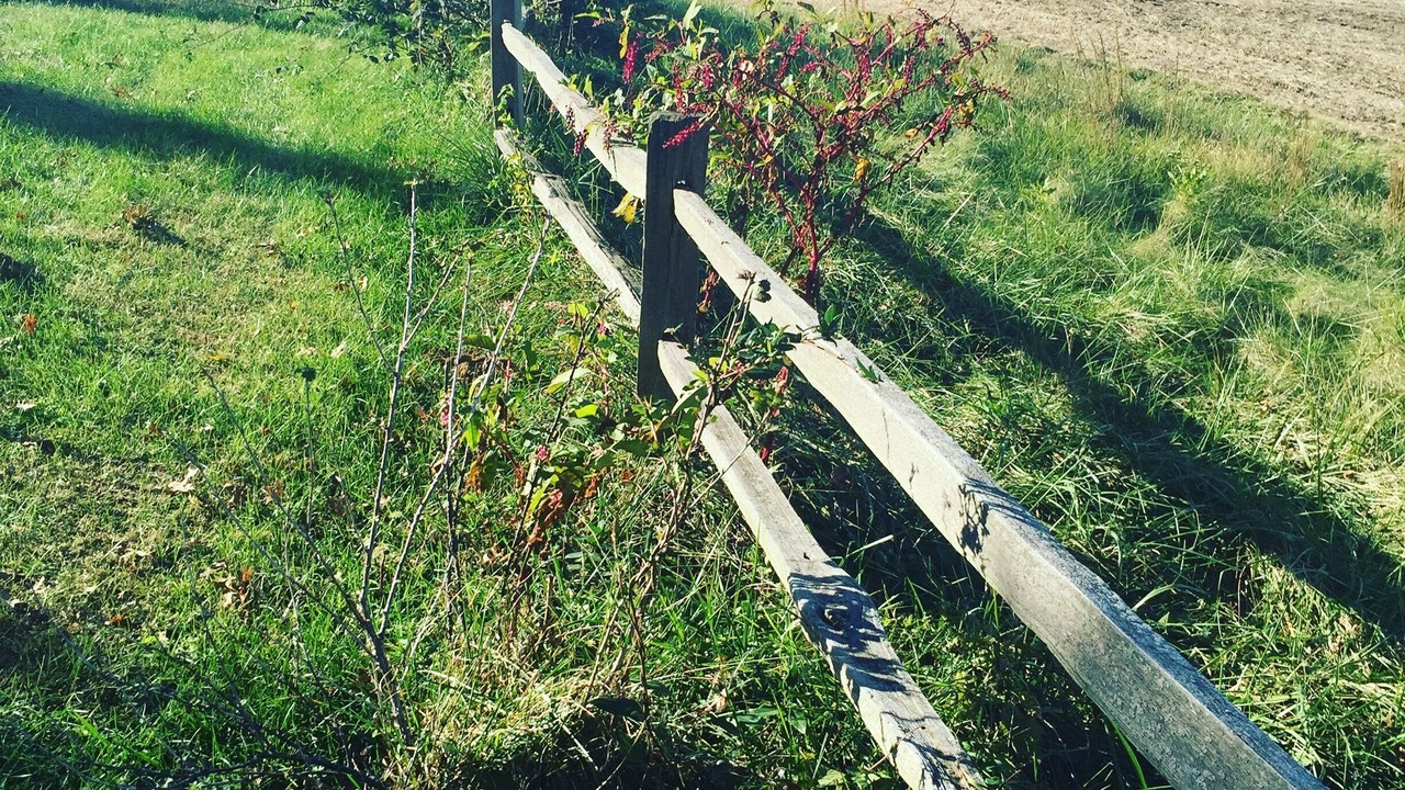 Photo of Outdoor in Maple Mount
