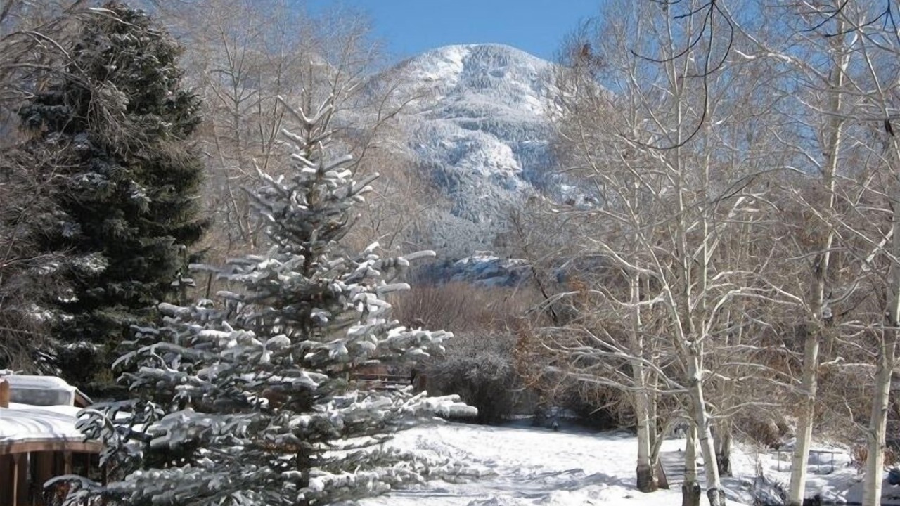 Photo of Others in Valdez