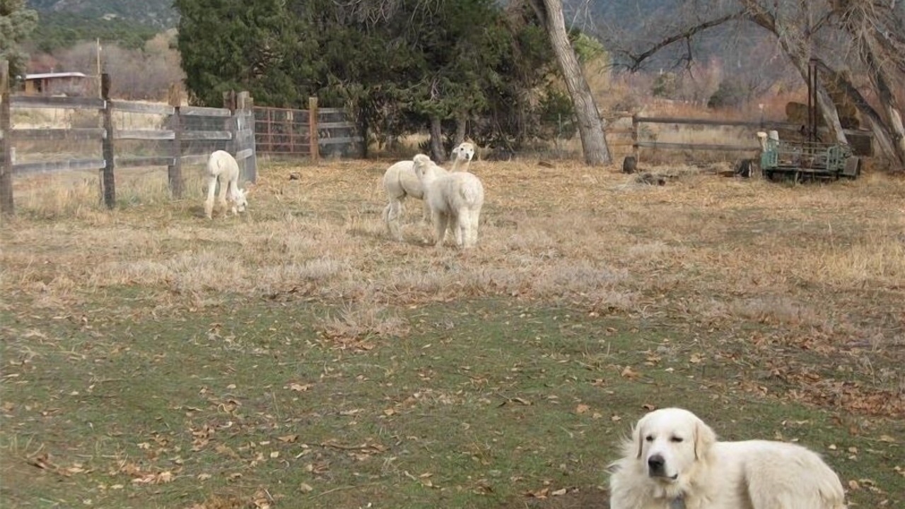 Photo of Others in Valdez