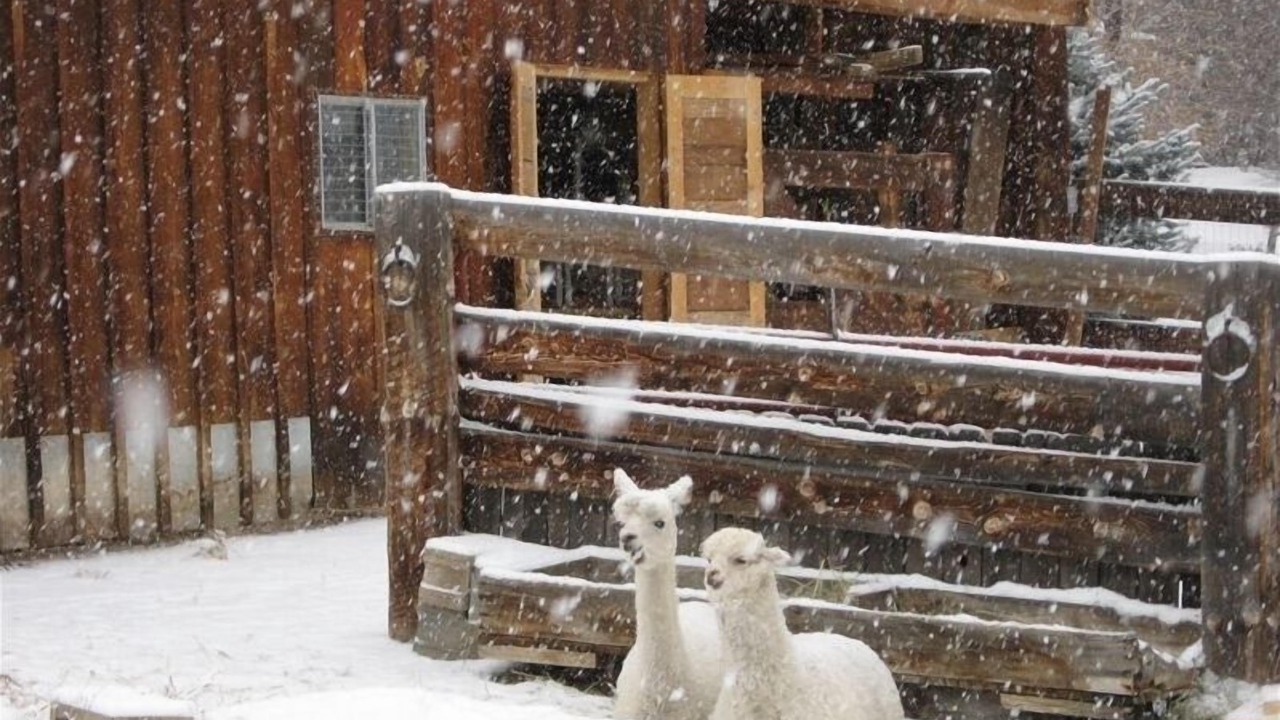 Photo of Others in Valdez