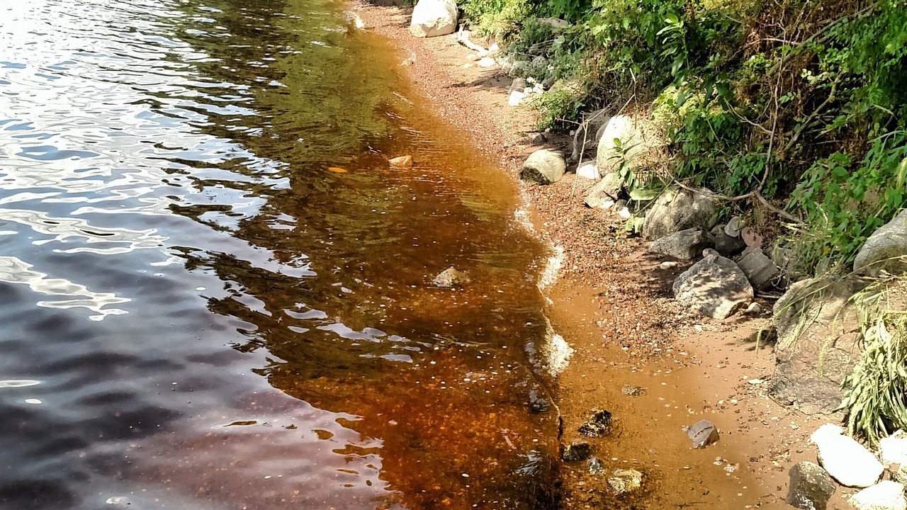 Photo of Others in Chippewa Falls