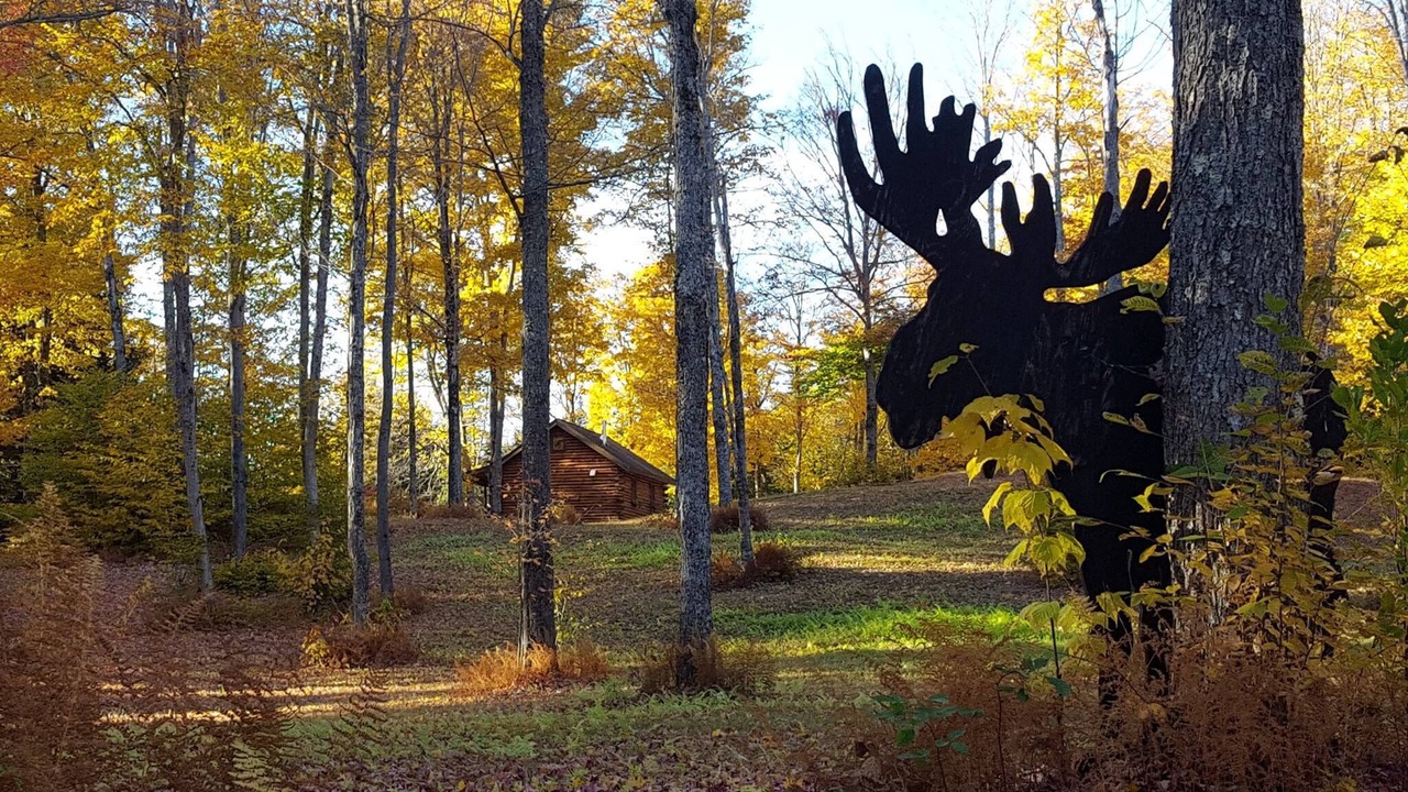 Photo of Outdoor in Brookfield