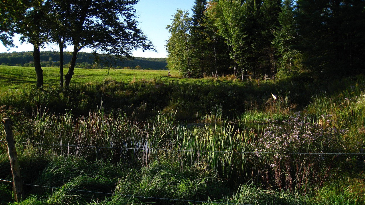 Photo of Outdoor in Brookfield