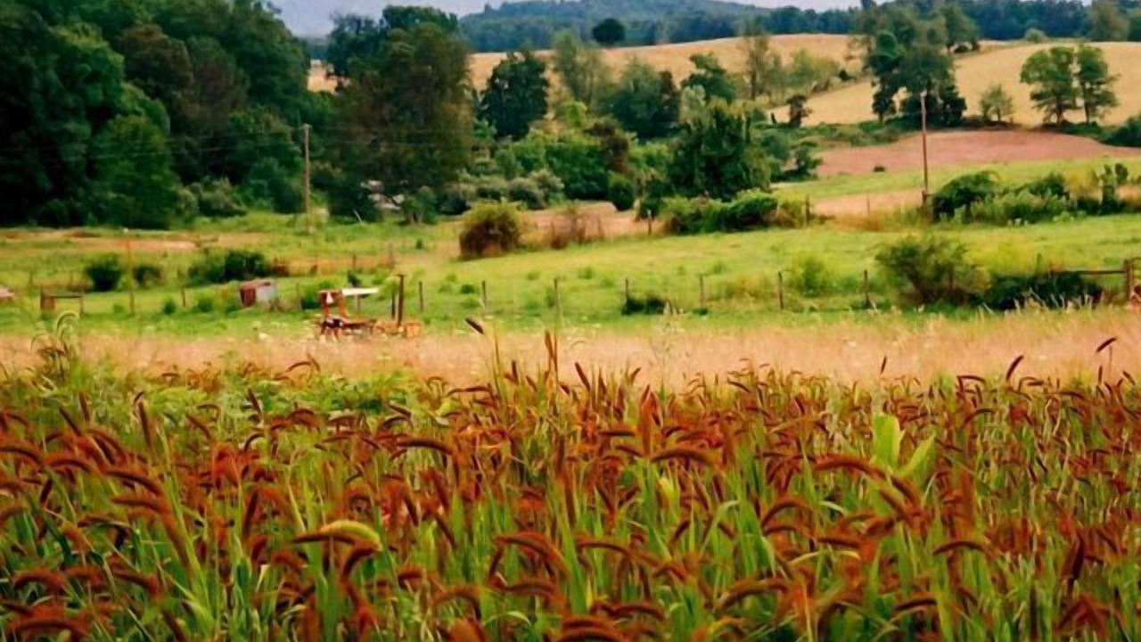 Photo of Outdoor in Spottswood
