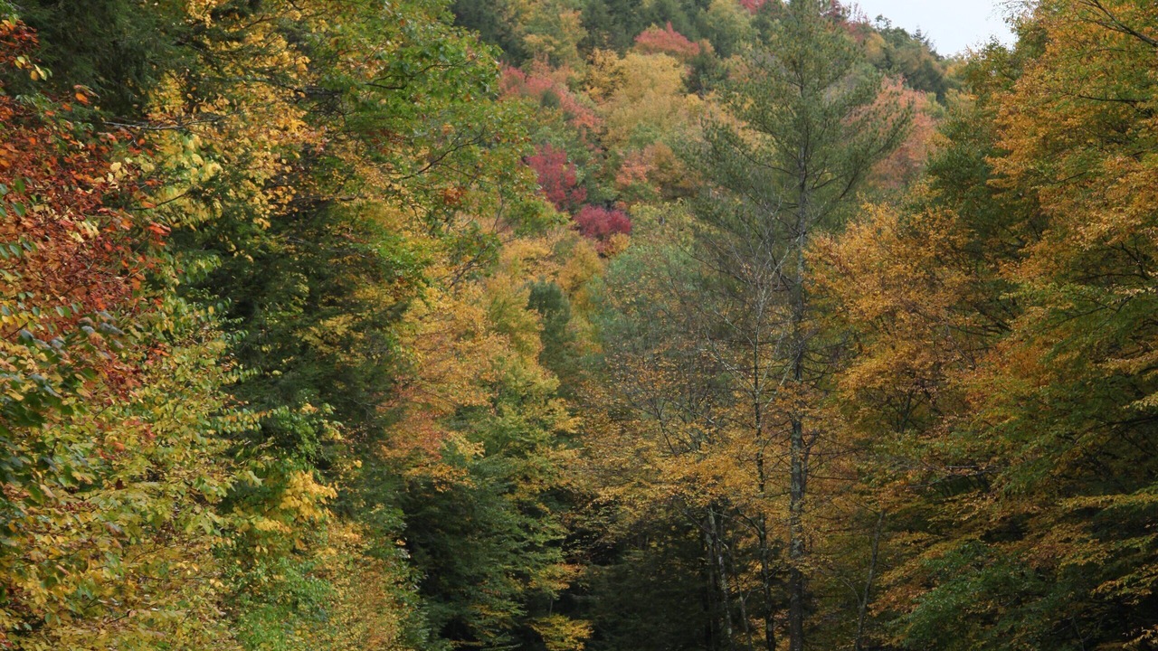 Photo of Outdoor in Savoy