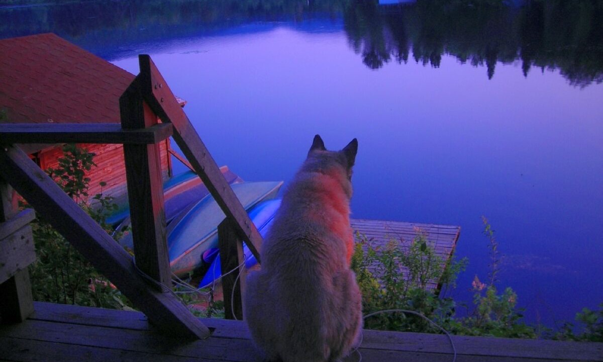 Photo of Outdoor in Owls Head