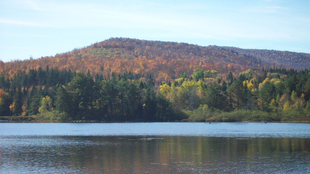 Photo of Others in Owls Head