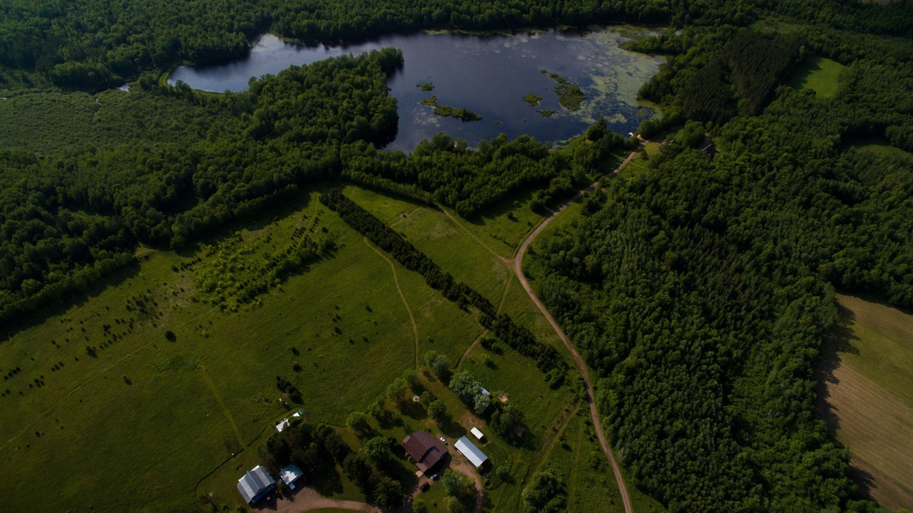 Photo of Outdoor in Rusk County