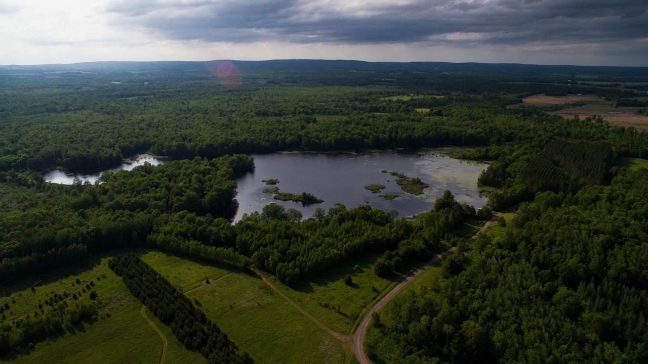 Photo of Outdoor in Rusk County