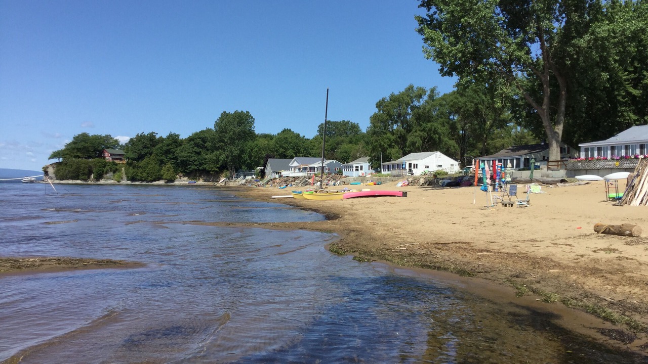 Photo of Others in Malletts Bay