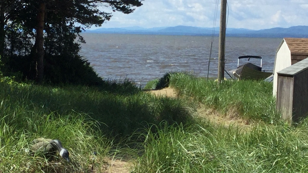 Photo of Outdoor in Malletts Bay