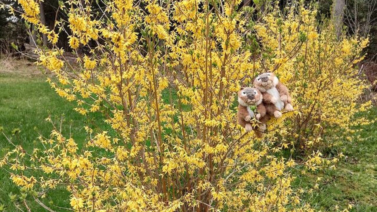 Photo of Outdoor in Hyde Park