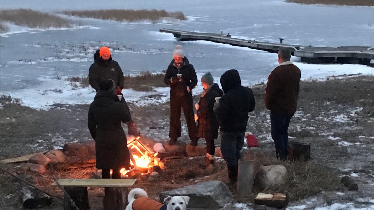 Photo of Others in Malletts Bay