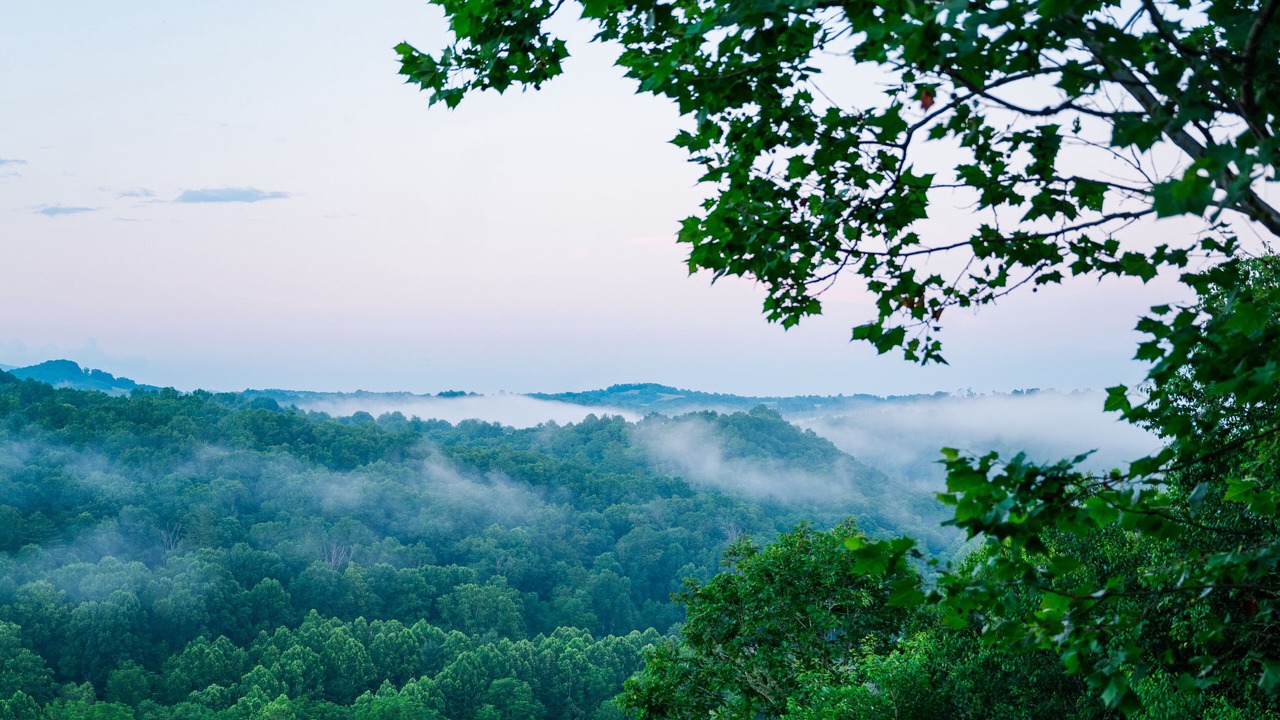 Photo of Others in Piney Creek