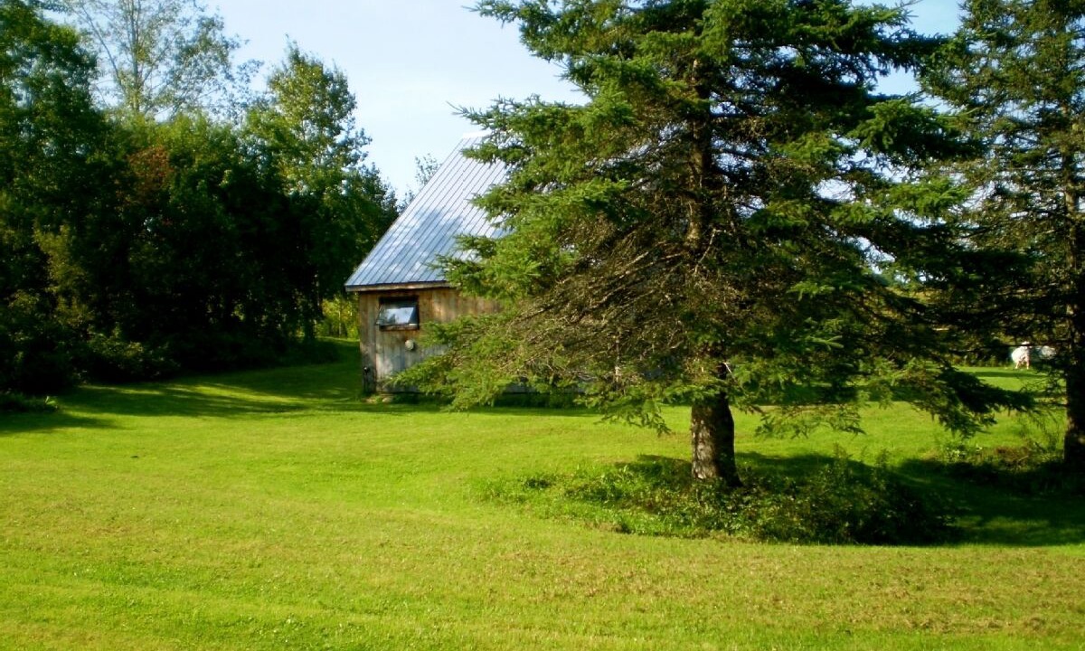 Photo of Others in Craftsbury Village