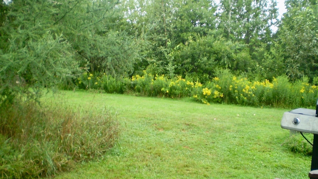 Photo of Others in Craftsbury Village