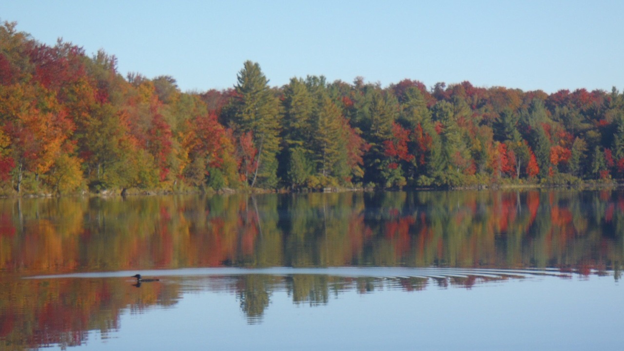Photo of Others in Cranberry Lake