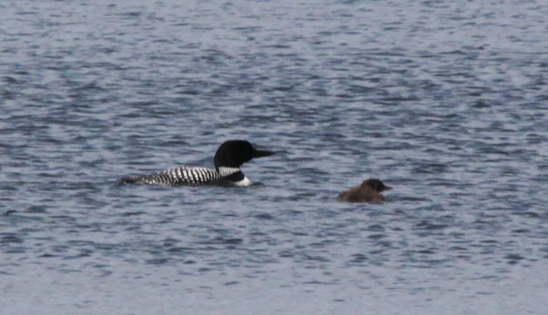 Photo of Outdoor in Cranberry Lake