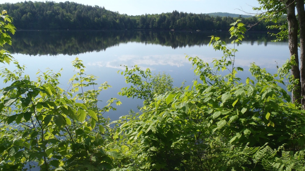 Photo of Outdoor in Cranberry Lake