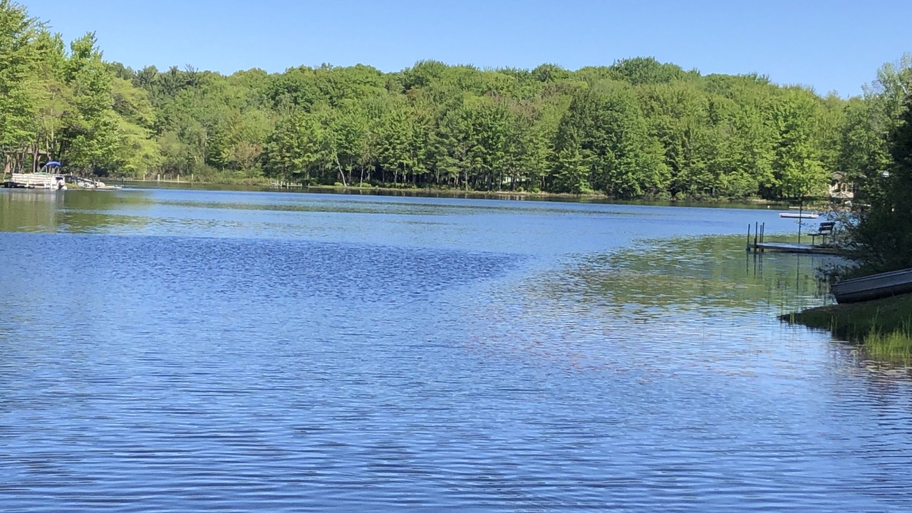 Photo of Outdoor in Saugatuck