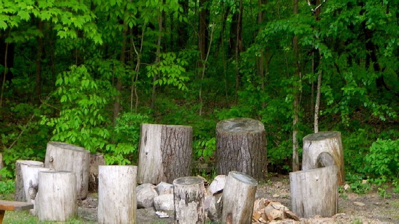 Photo of Others in Saugatuck