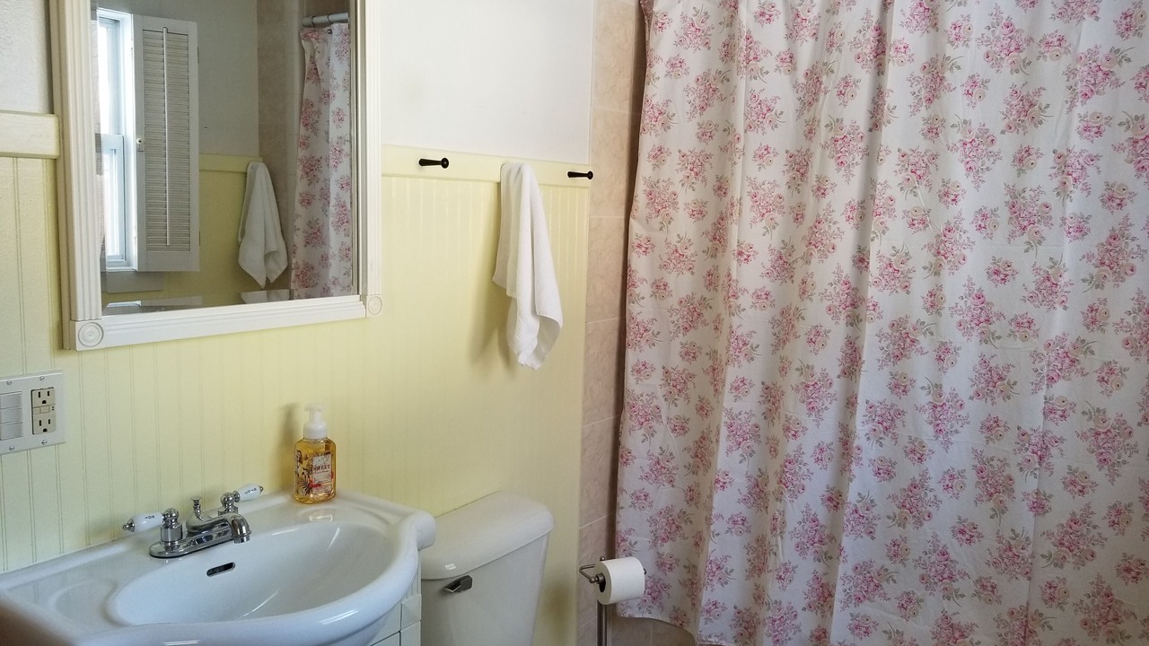 Photo of Bathroom in Cheboygan